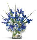 Bountiful Beauty Bouquet